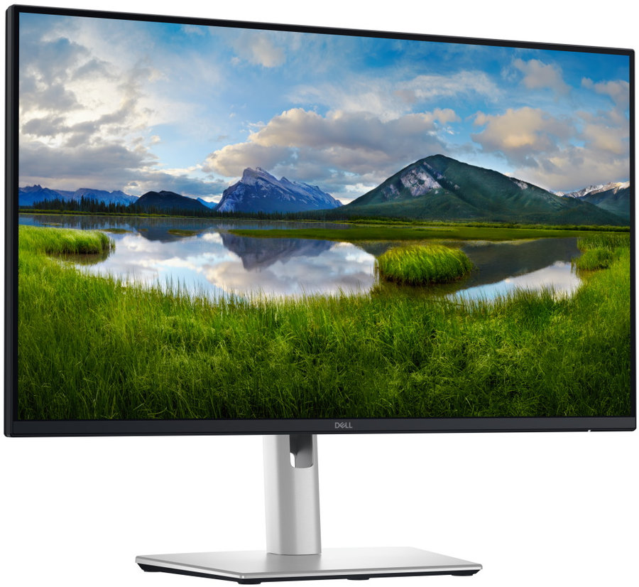 Dell Pro 24 Plus QHD USB-C Hub Monitor - P2425DE