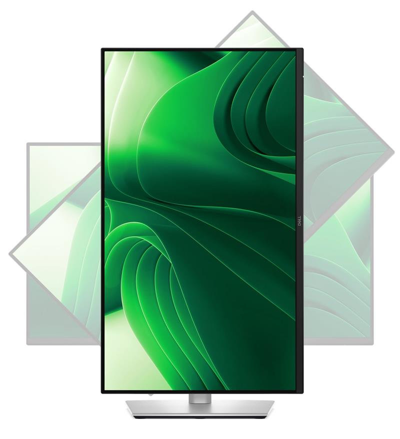 DELL Pro 24 Plus P2425D 24" QHD (2560 x 1400) 100Hz, IPS, 350nit, 1500:1, 5ms, PIVOT, HDMI, DP, USB-C, Black, 3Y