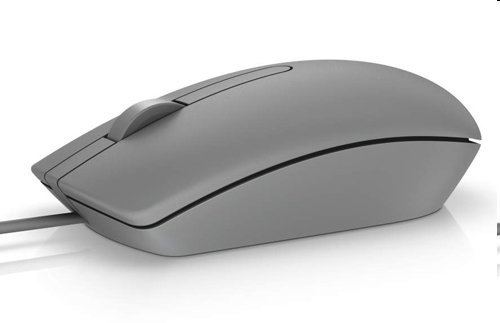 DELL 570-AAIT, MS116 optická myš s podporou posúvania, 3 tlačidlá, USB, šedá