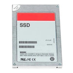 960GB SSD SATA Mixed Use 6Gbps 512e 2.5in with 3.5in Brkt Cabled CK