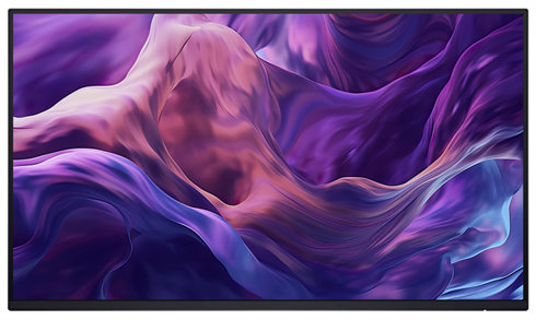 DELL P2425HE WOST 23,8" FHD (1920x1080) 100Hz, with out stand