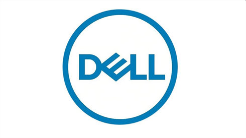 DELL 1-pack of Windows Server 2025/ 2022 User CALs (STD or DC) Cus Kit